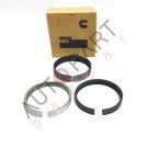 Engine Piston Ring Set- ISBe- Size STD- 5257640